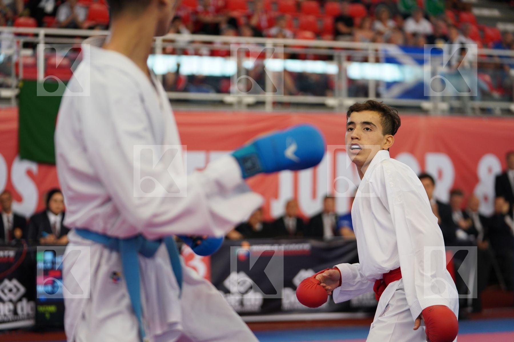 HELASSA AYOUB ANIS (ALGERIA) vs JINA ABDEL ALI (MOROCCO) in Junior Kumite Male -55 Kg - Podium ceremony